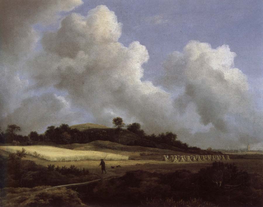 View of Grainfields with a Distant town